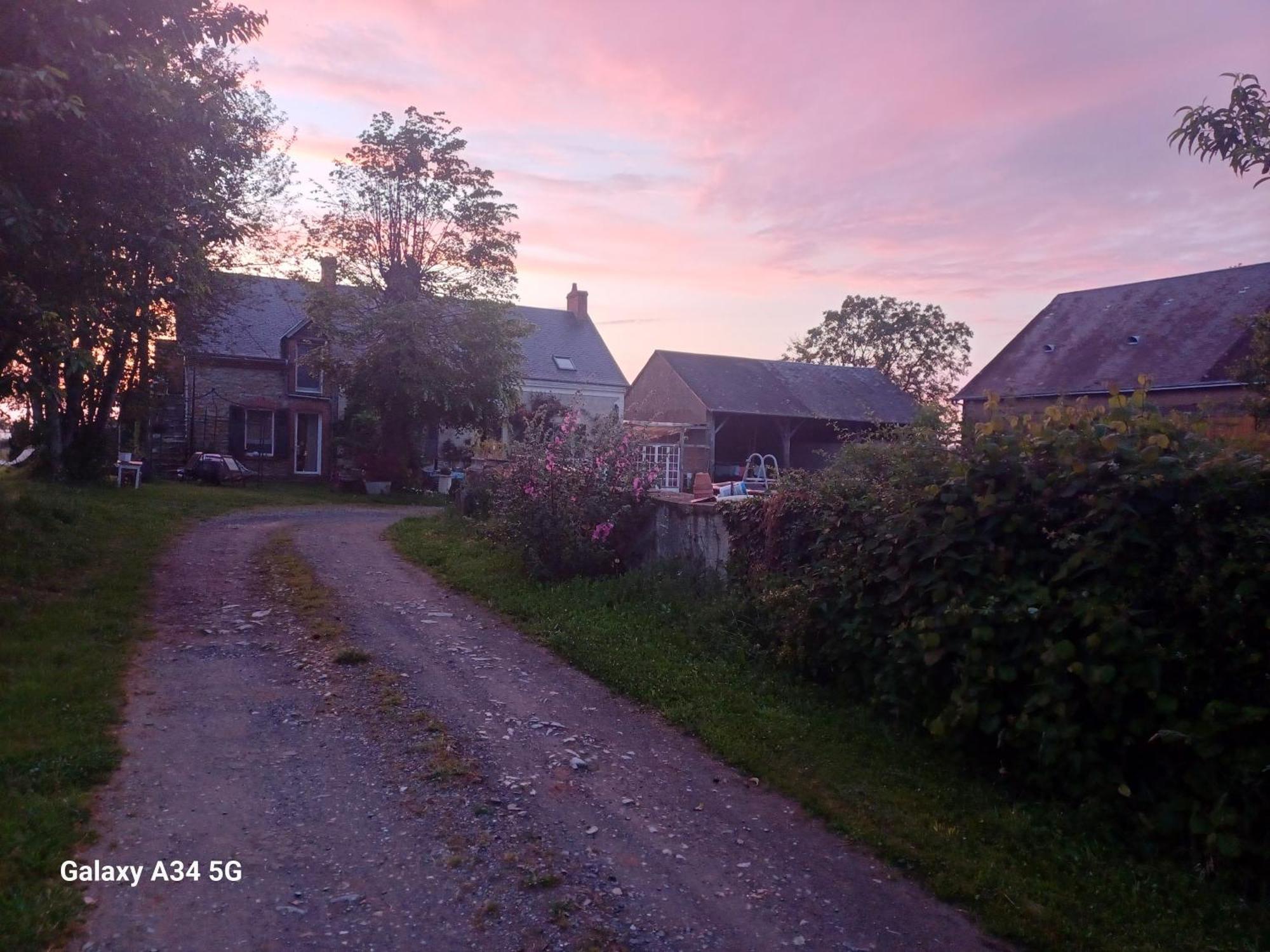 Les Chaumes Violettes Bed and Breakfast Cluis Eksteriør billede